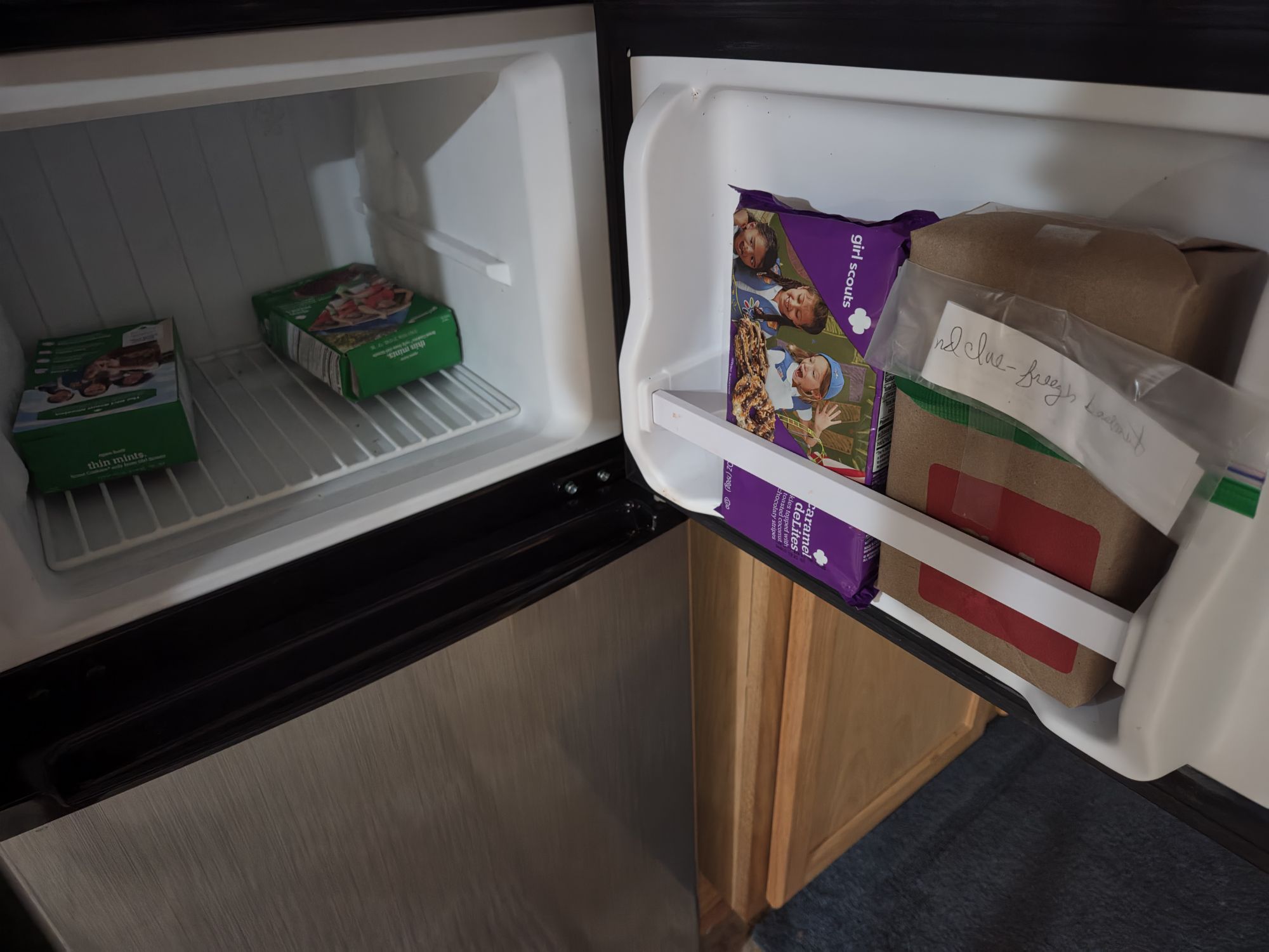 Girl scout cookies in a freezer